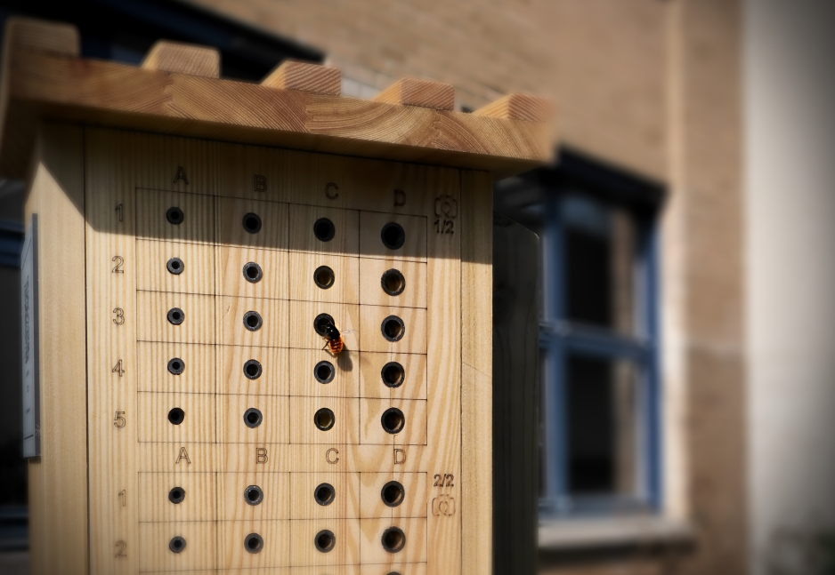Beehotel installé sur le campus de l'EPHEC