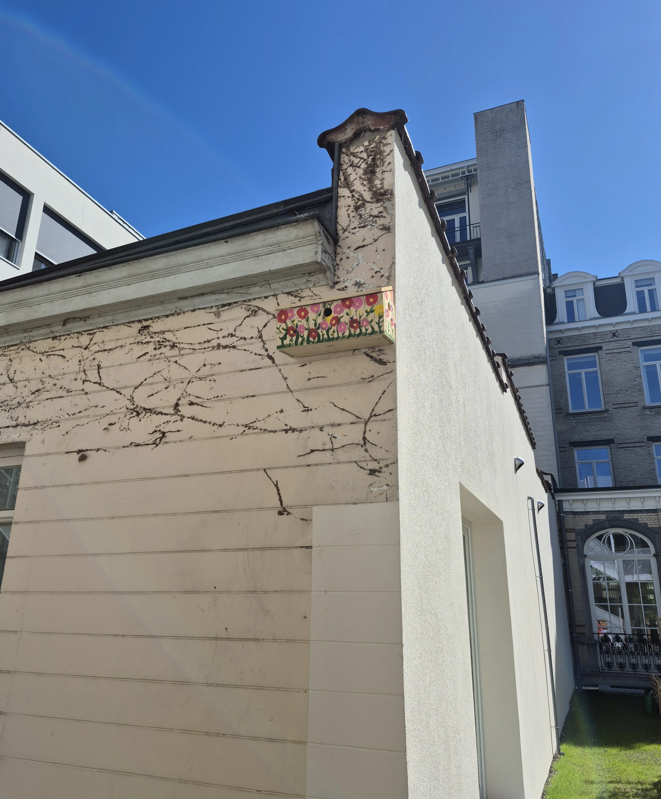 Nichoirs et aménagements pour oiseaux sur le campus
