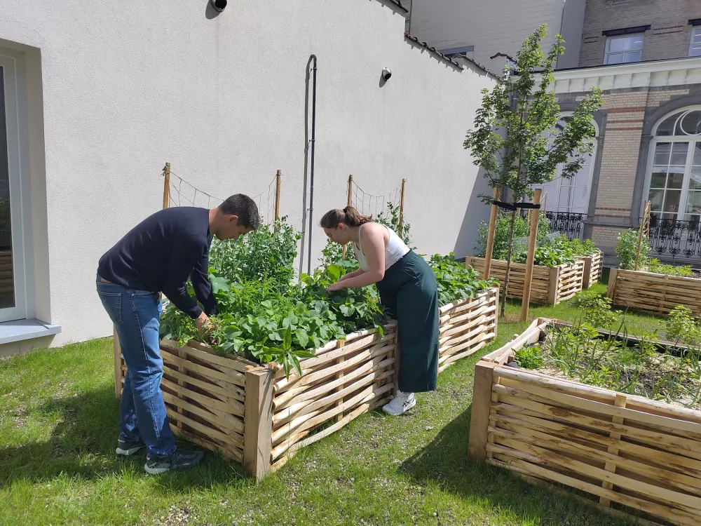 Verdurisation du campus Galileo : potager, nichoirs et beehôtels au service de la biodiversité