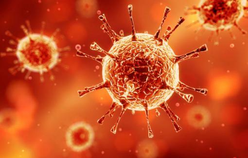 Coronavirus – Mesures officielles mises en place à l’EPHEC aux cours du soir